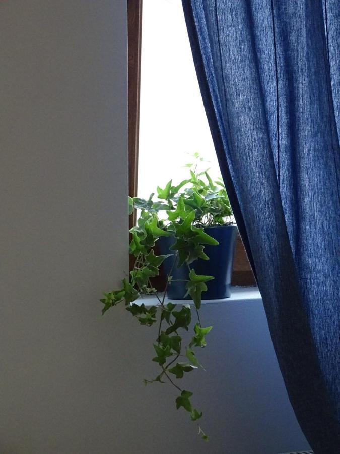 Blue Apartment Belgrad Dış mekan fotoğraf